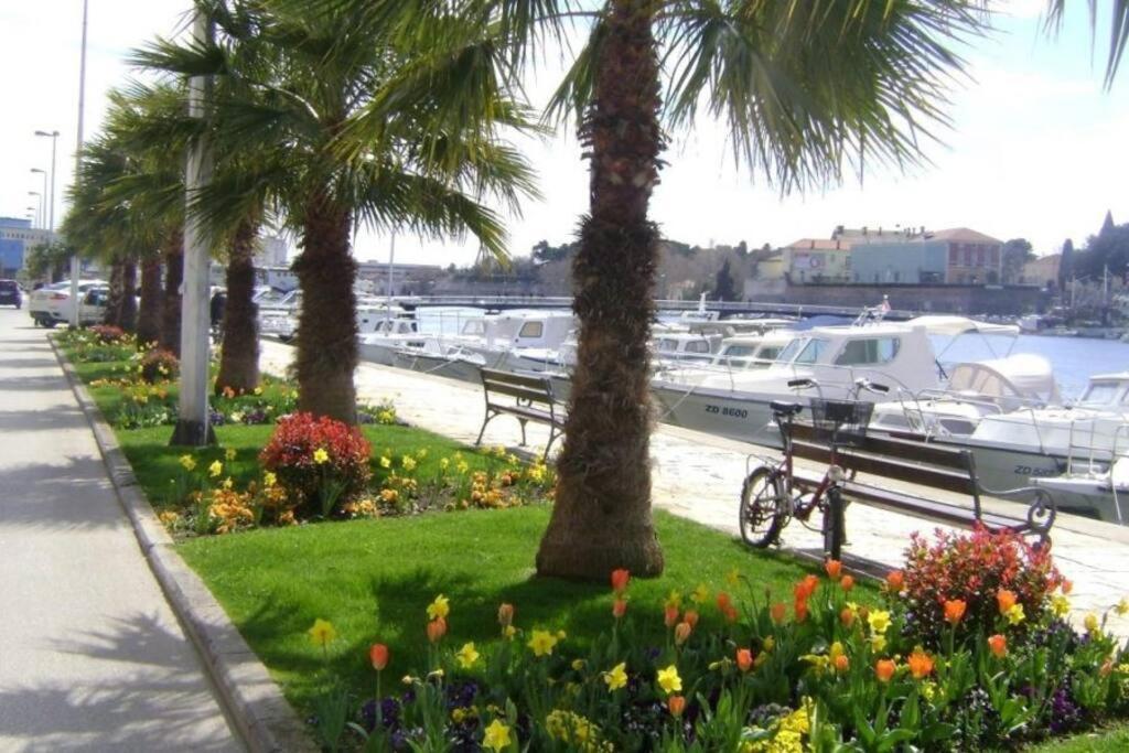 Hygge Zadar Apartment ภายนอก รูปภาพ